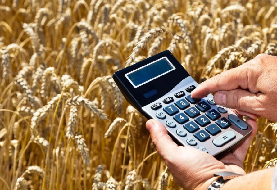 4,3 млрд рублей направлено на поддержку аграрных предприятий Нижегородской области с начала 2024 года